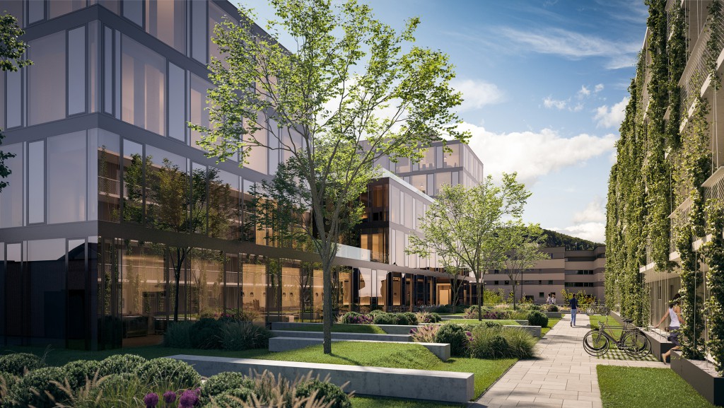 ifa prime investement